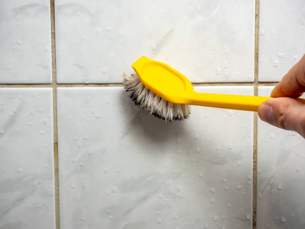 Best Emergency Mold Remediation in Colleyville, TX