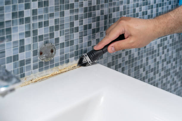Best Bathroom Mold Remediation in Colleyville, TX